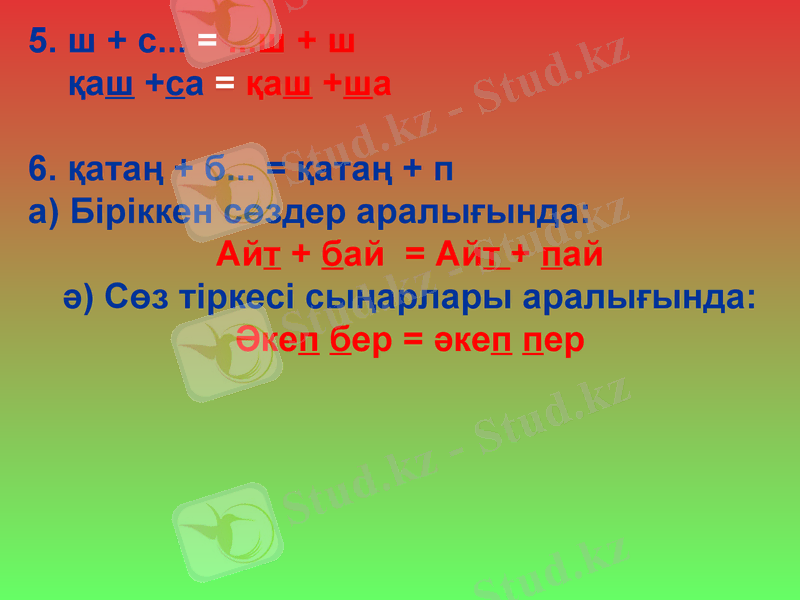 Slide 6