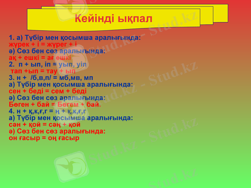 Slide 7