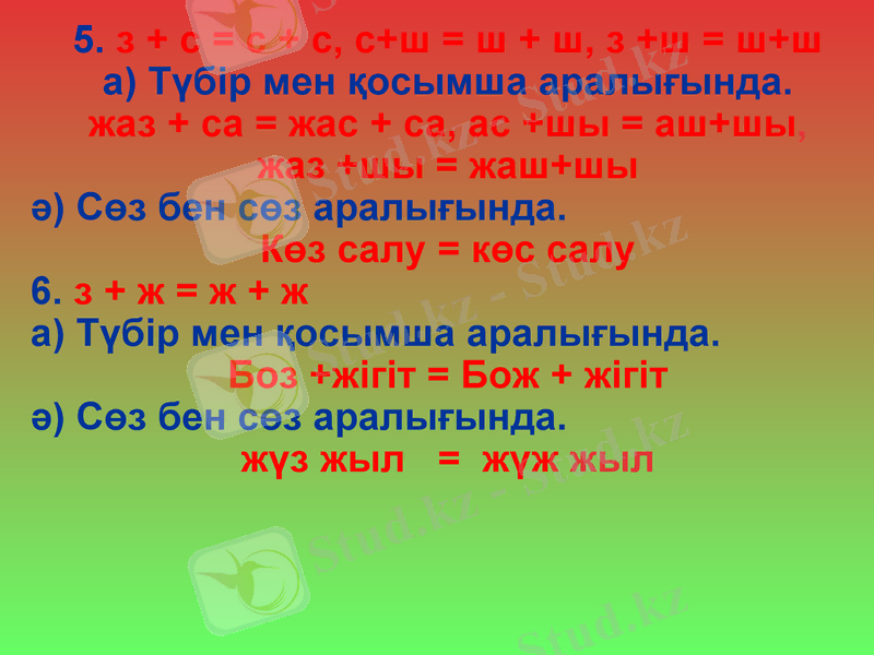 Slide 8