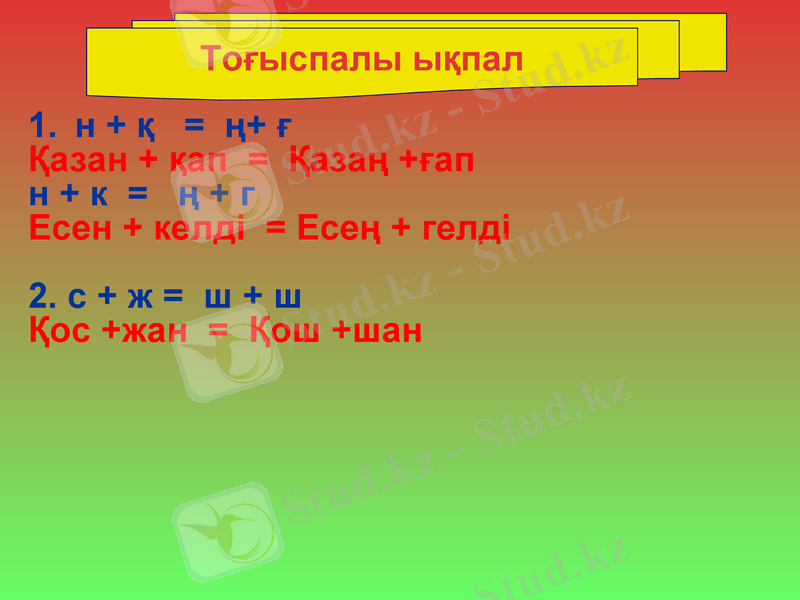 Slide 9
