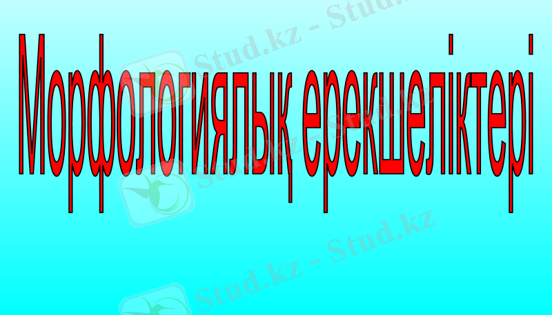 Slide 10