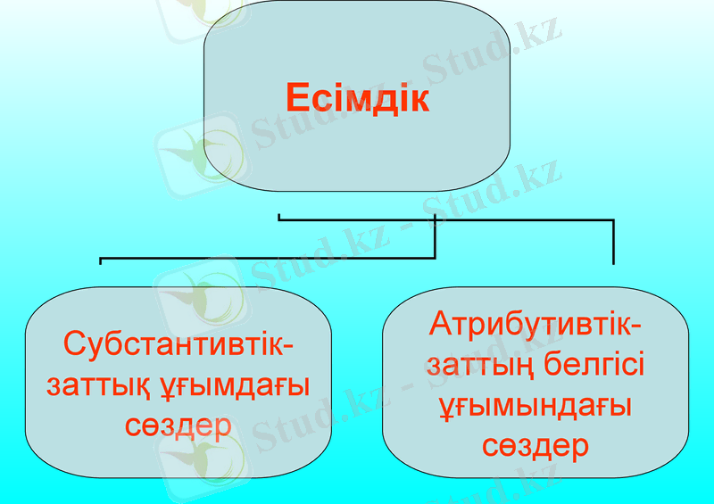 Slide 11