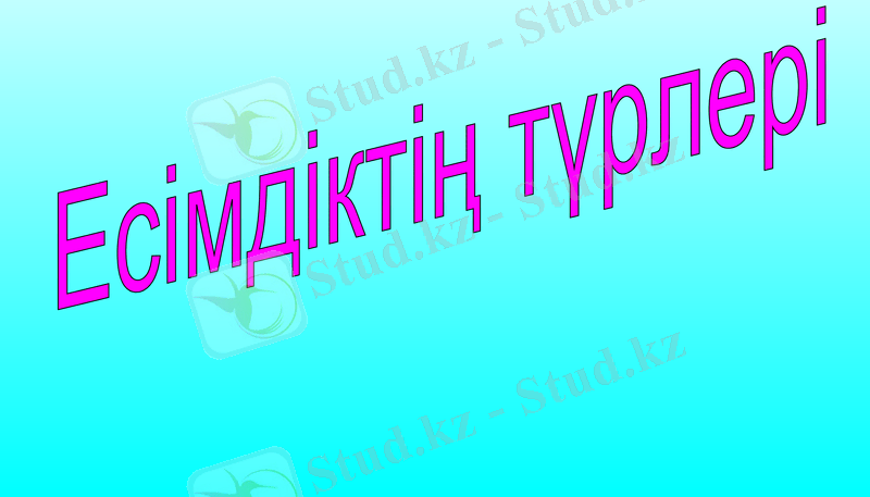 Slide 16