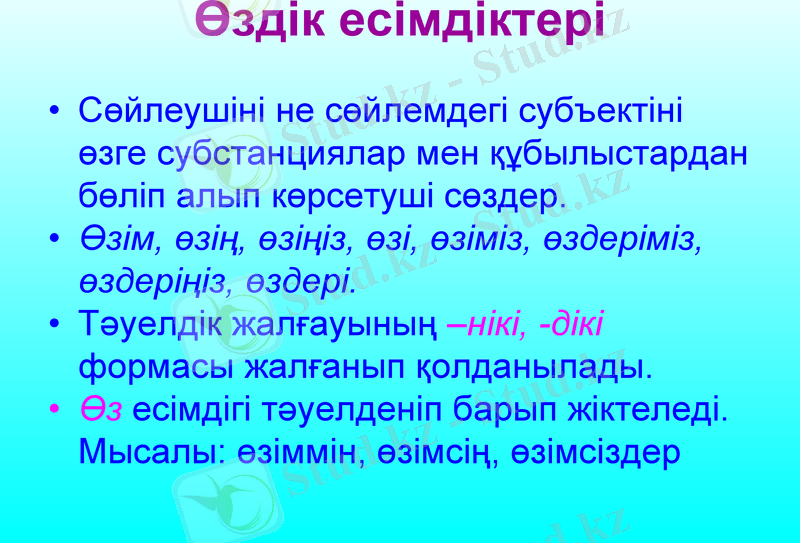 Slide 31