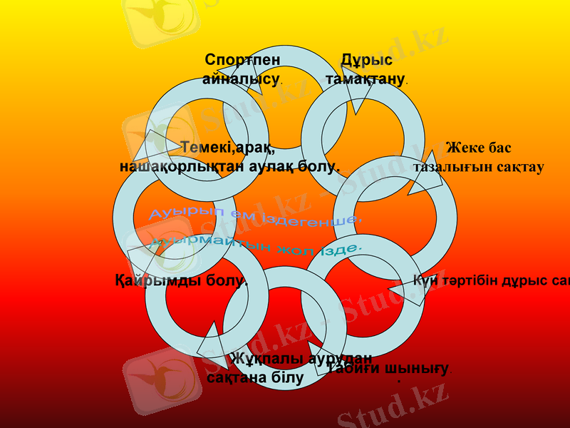 Slide 11
