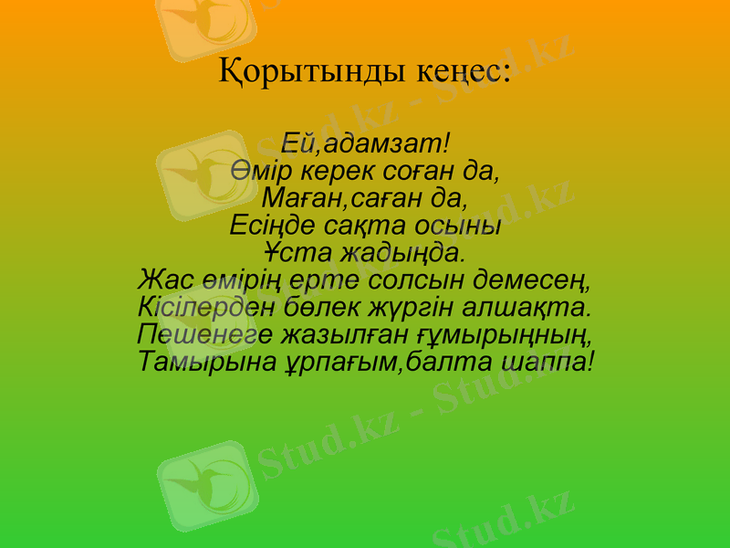 Slide 12