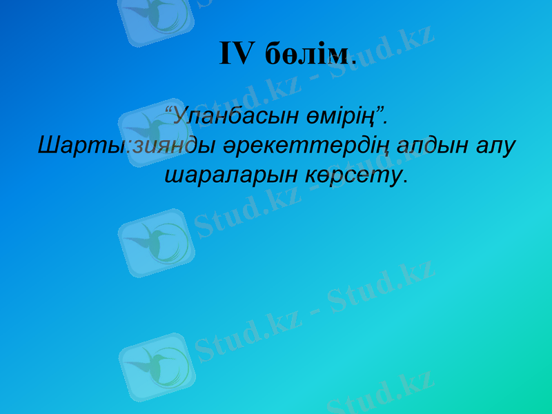 Slide 8
