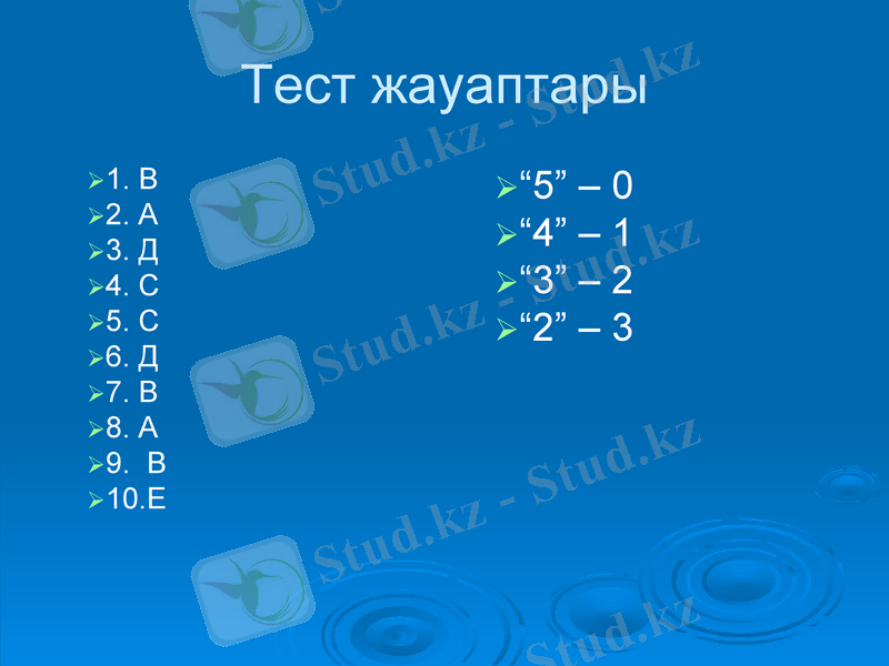 Slide 12