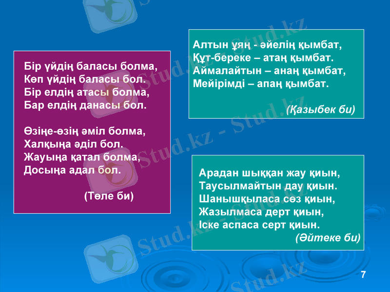 Slide 6