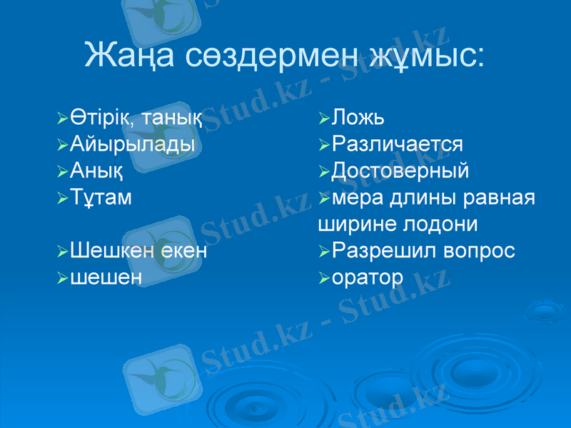 Slide 7