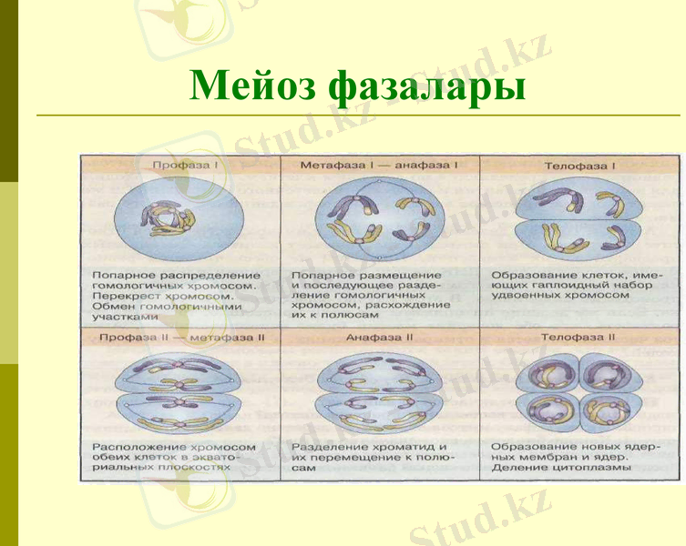 Slide 10