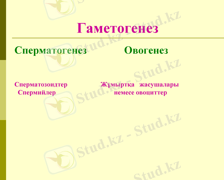Slide 11