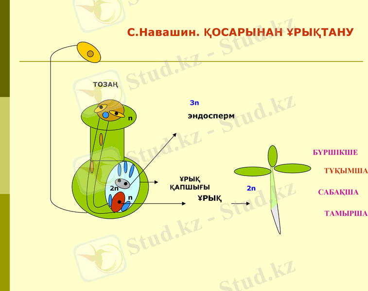 Slide 12
