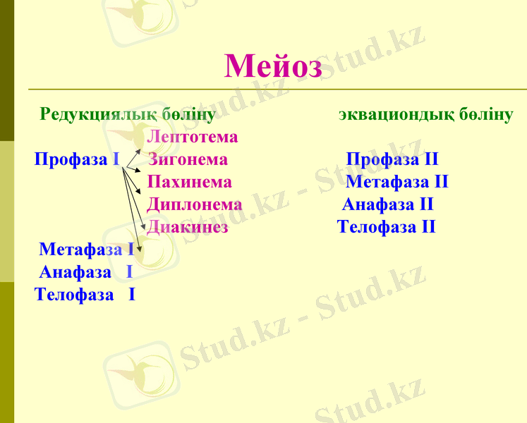 Slide 8