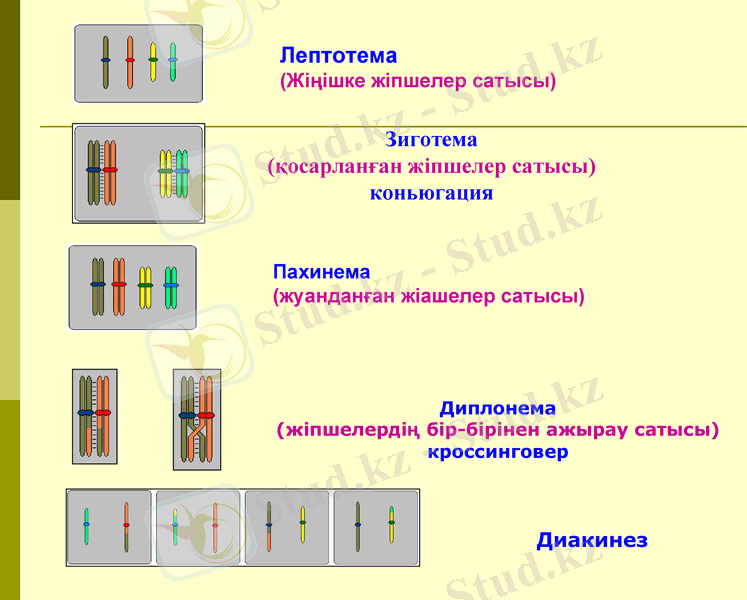 Slide 9
