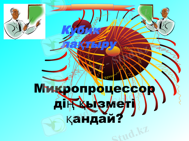 Slide 12