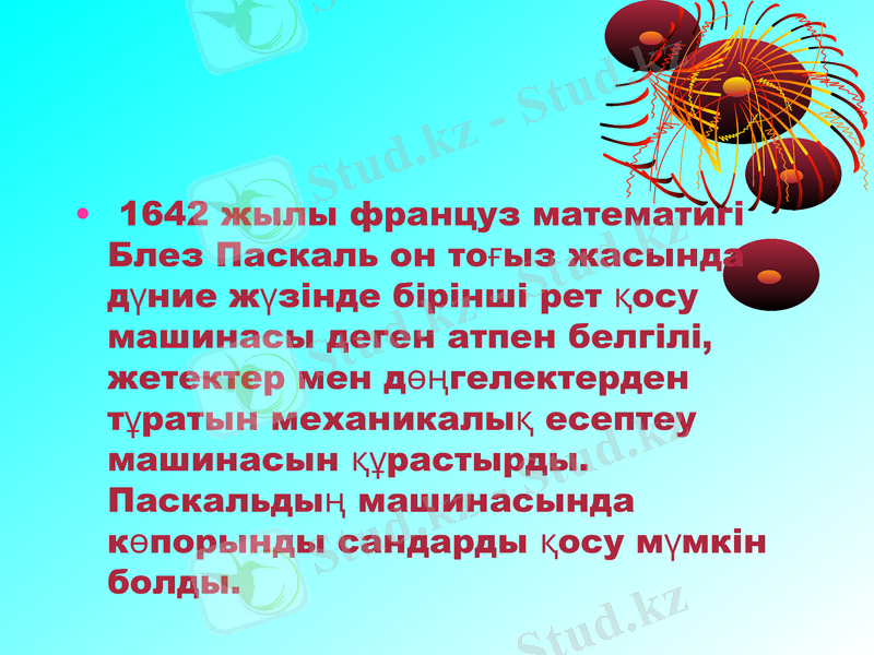 Slide 19