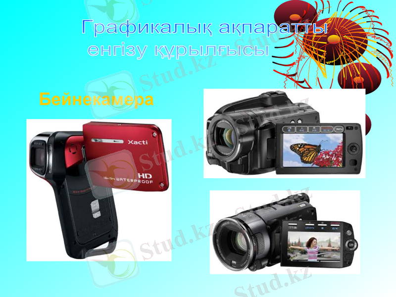 Slide 24