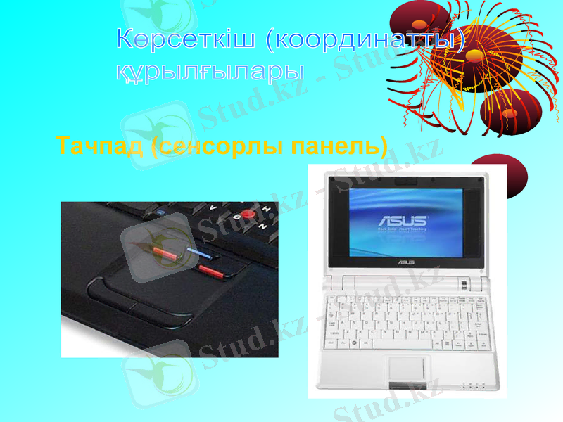 Slide 30