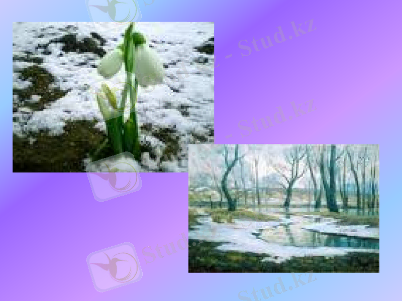 Slide 10