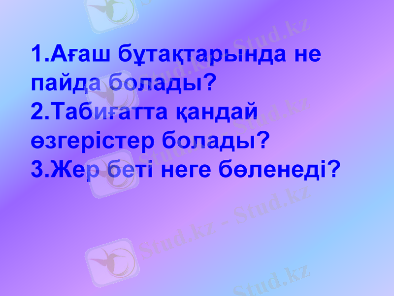 Slide 17