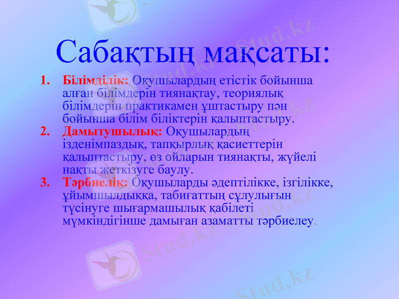 Slide 8