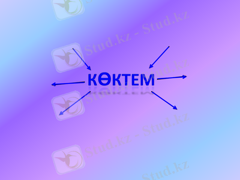 Slide 9