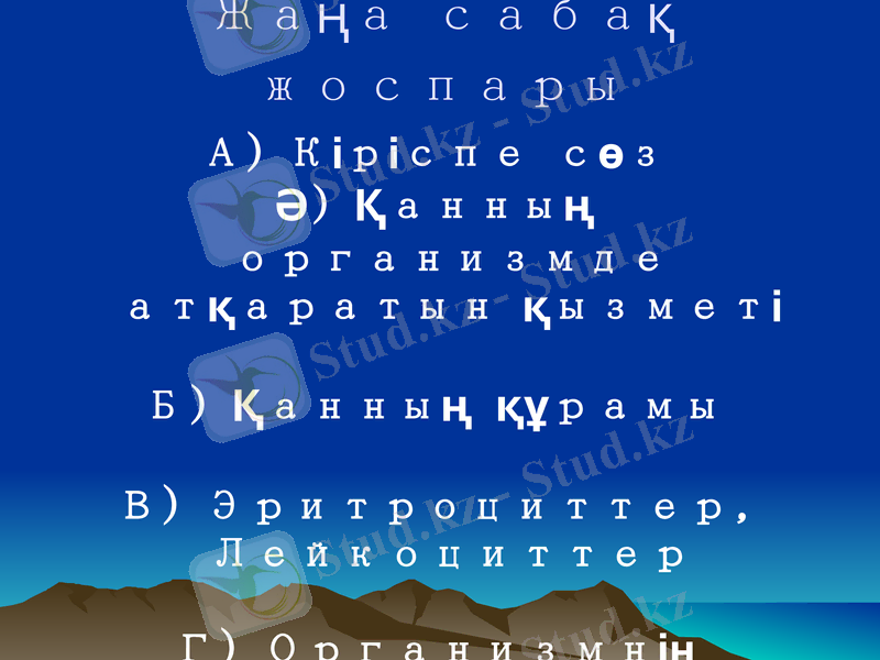 Slide 8
