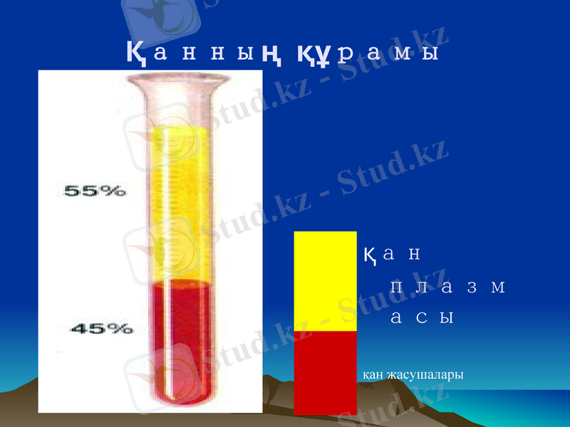 Slide 9