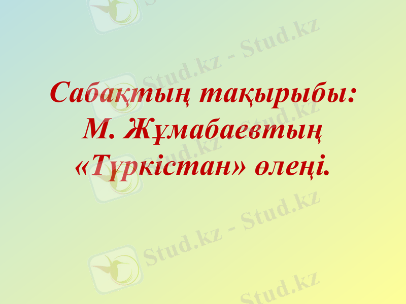 Slide 5