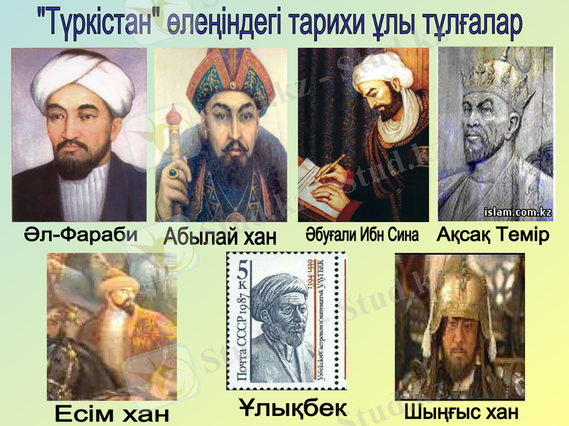 Slide 8