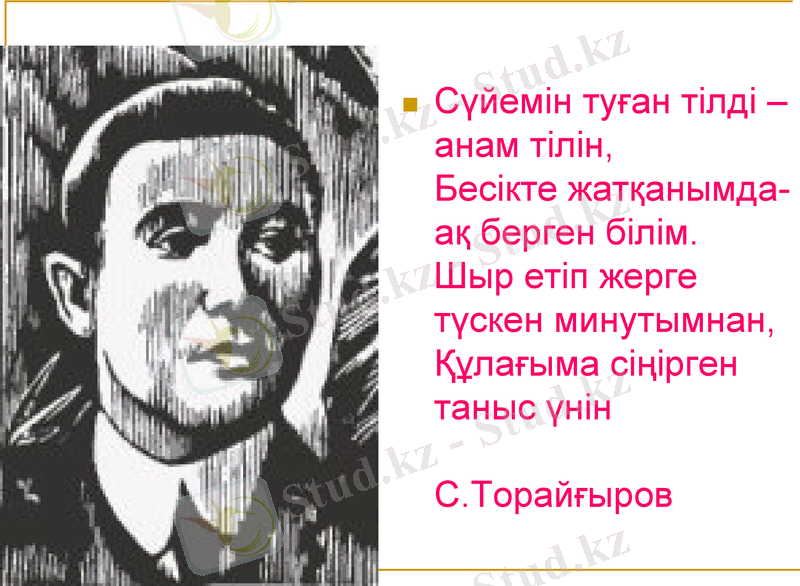 Slide 13