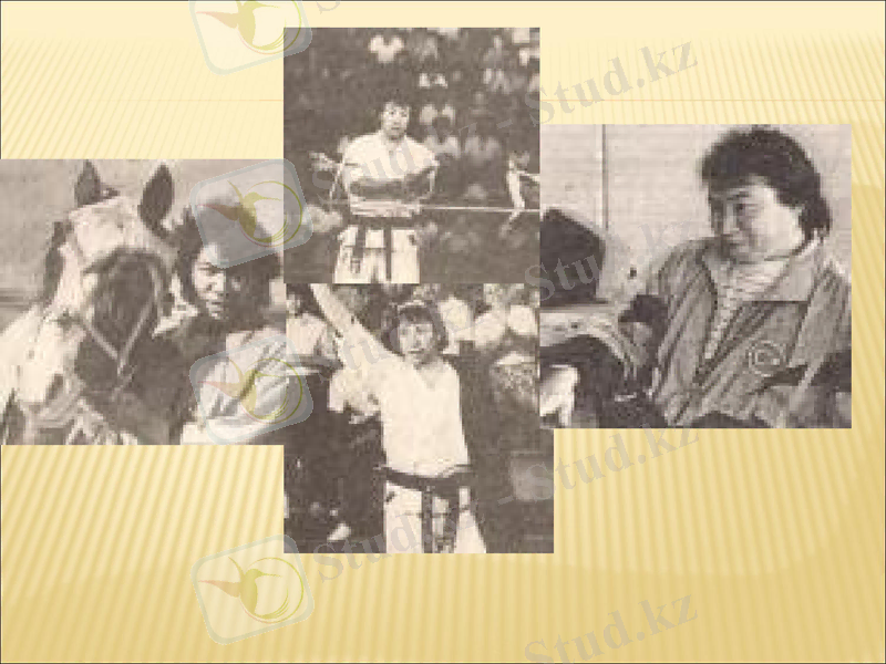 Slide 5