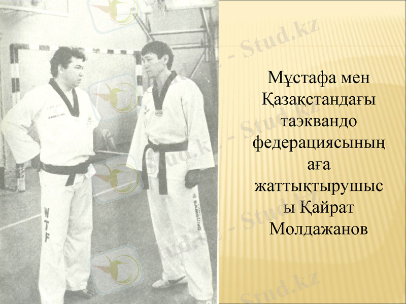 Slide 6