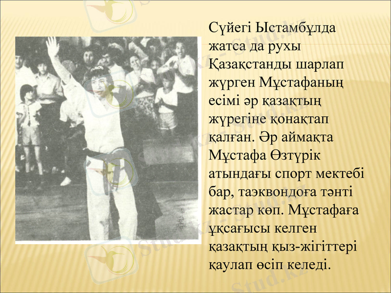 Slide 8