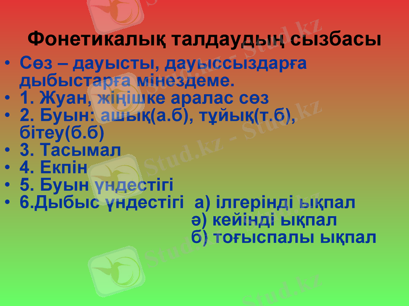 Slide 8