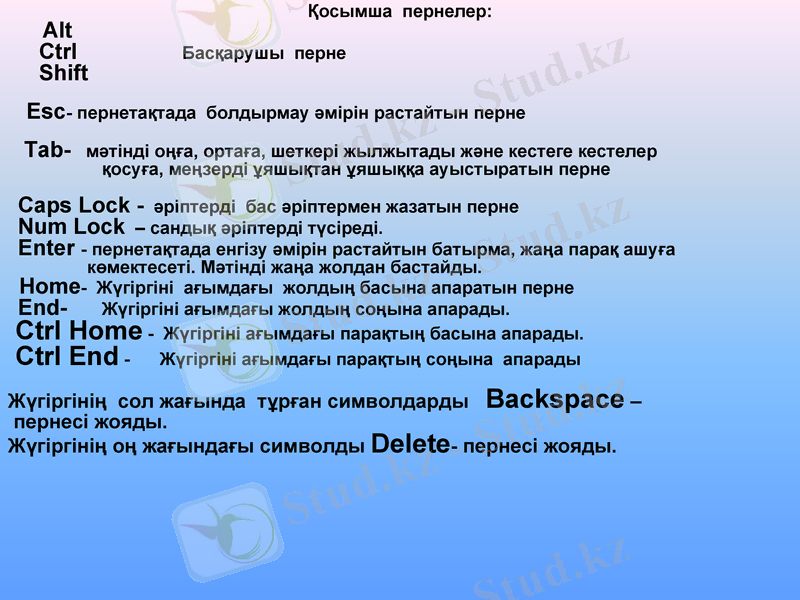 Slide 8