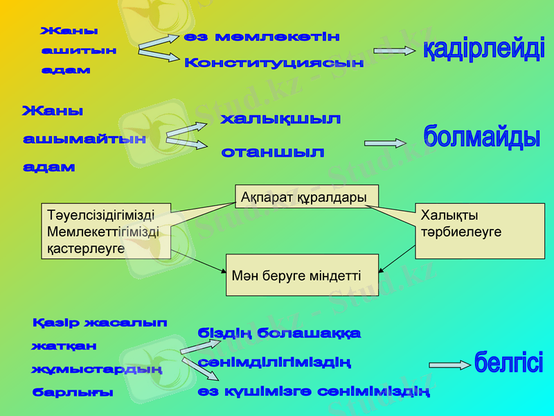 Slide 11