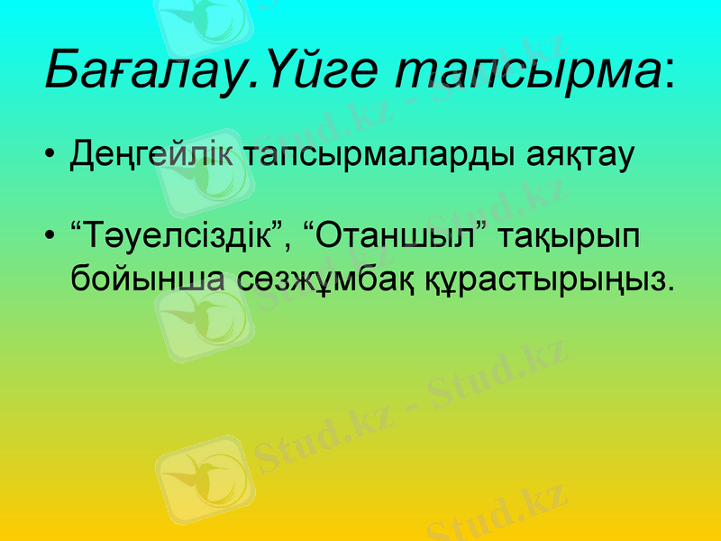 Slide 13