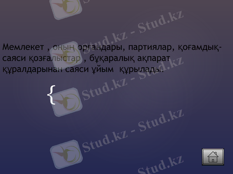Slide 7