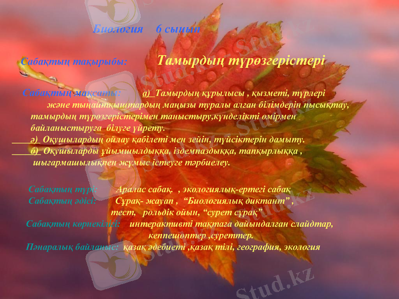 Slide 1
