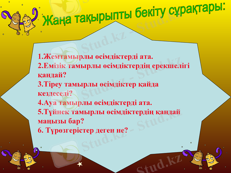 Slide 11