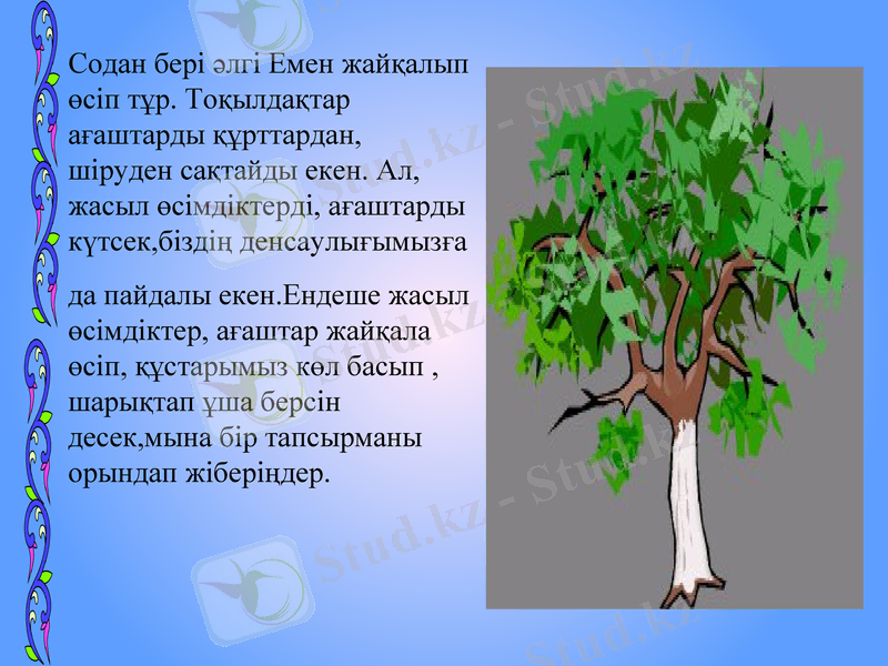 Slide 13