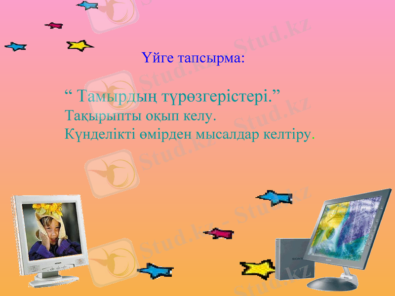 Slide 15