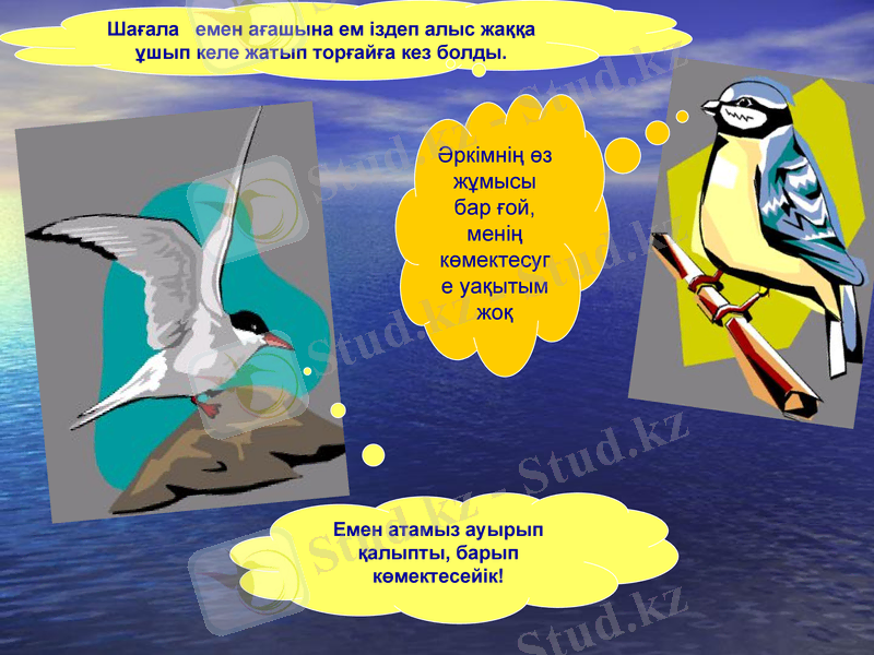 Slide 5