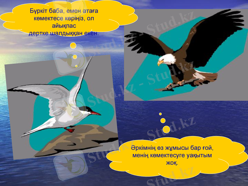 Slide 7