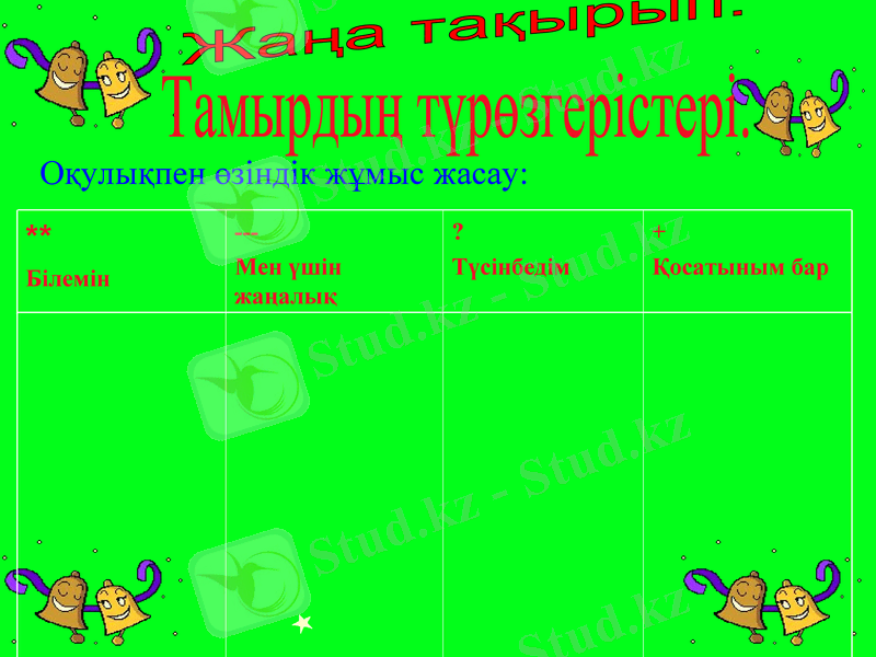 Slide 8