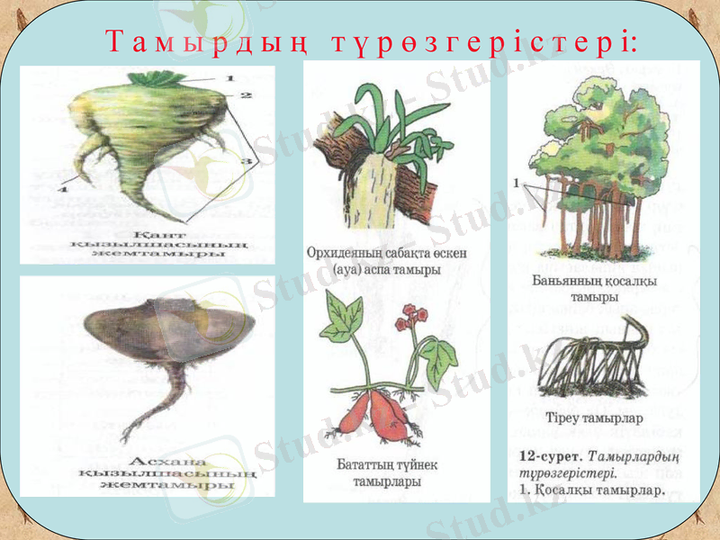 Slide 9