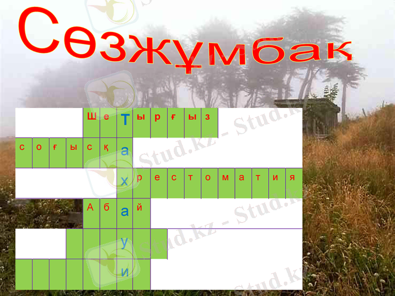 Slide 12