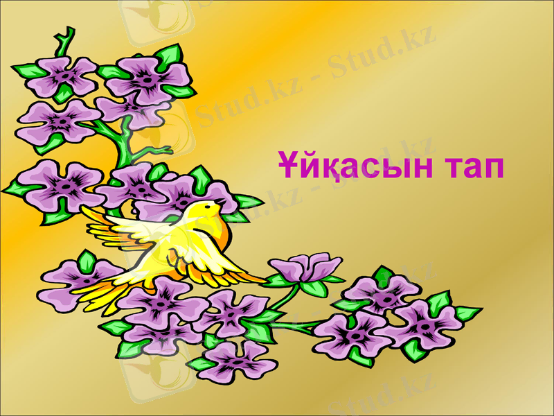 Slide 15
